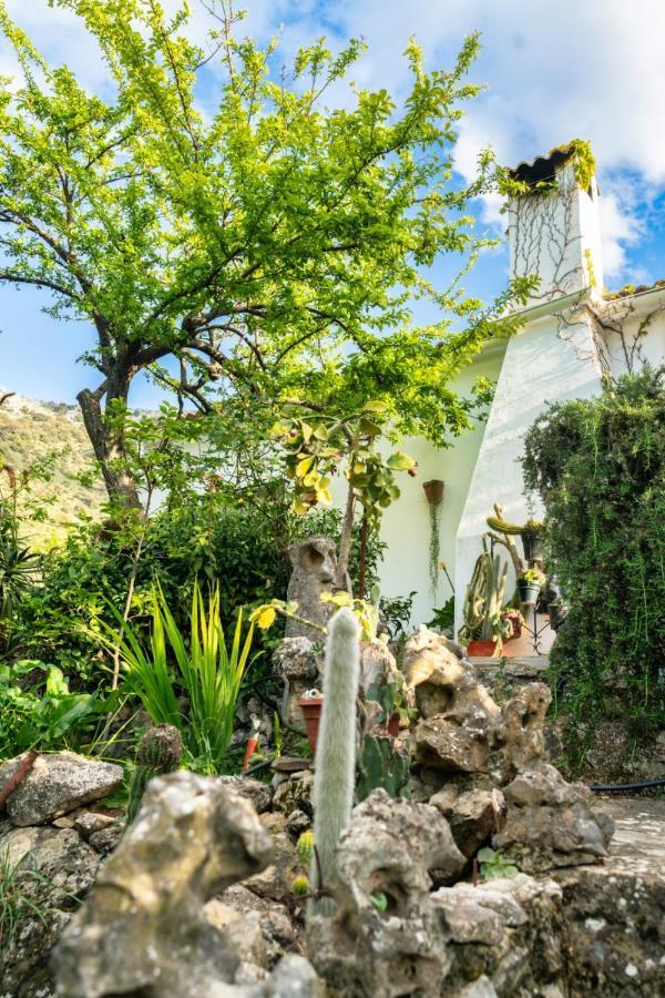 Los Cactus El Gastor Bagian luar foto